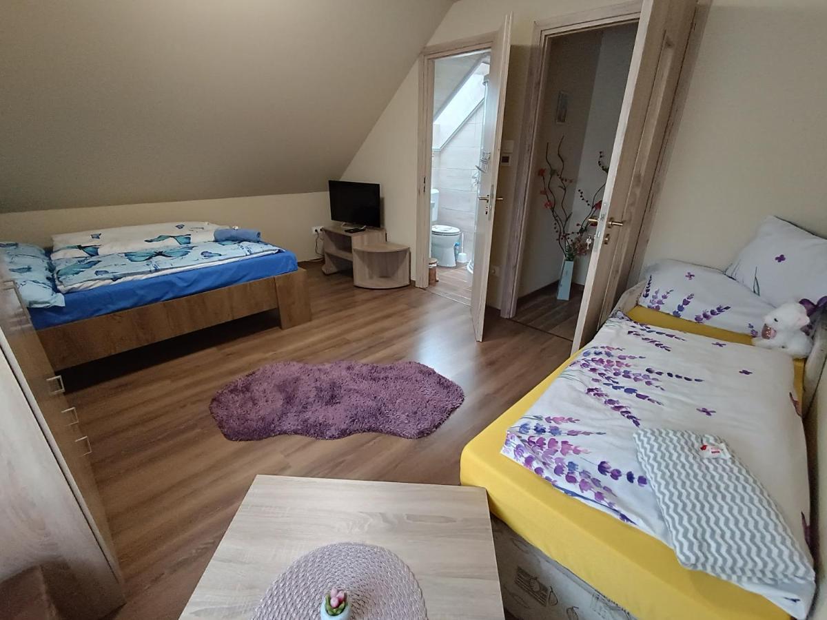 Holt-Tisza Vendeghaz Hotell Szeged Eksteriør bilde