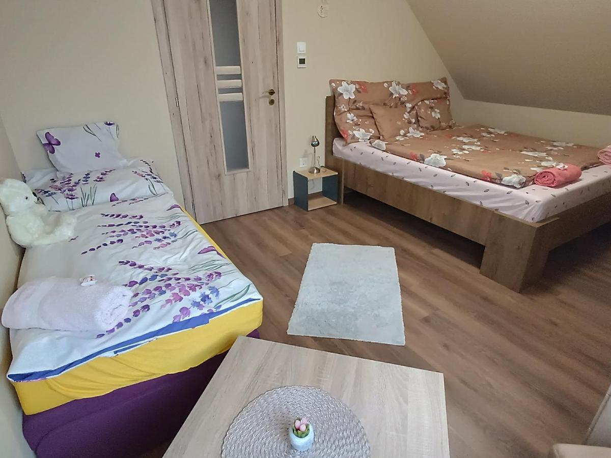 Holt-Tisza Vendeghaz Hotell Szeged Eksteriør bilde