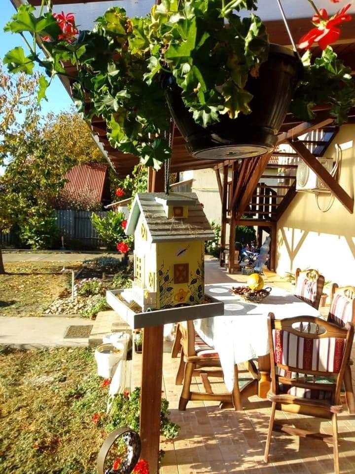 Holt-Tisza Vendeghaz Hotell Szeged Eksteriør bilde