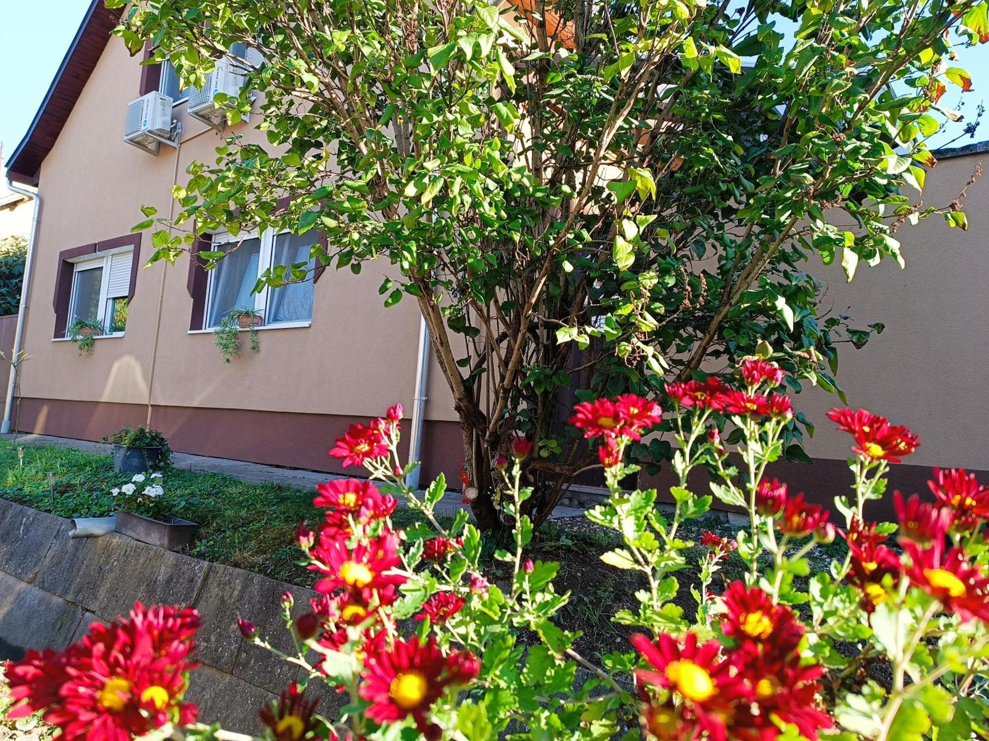 Holt-Tisza Vendeghaz Hotell Szeged Eksteriør bilde